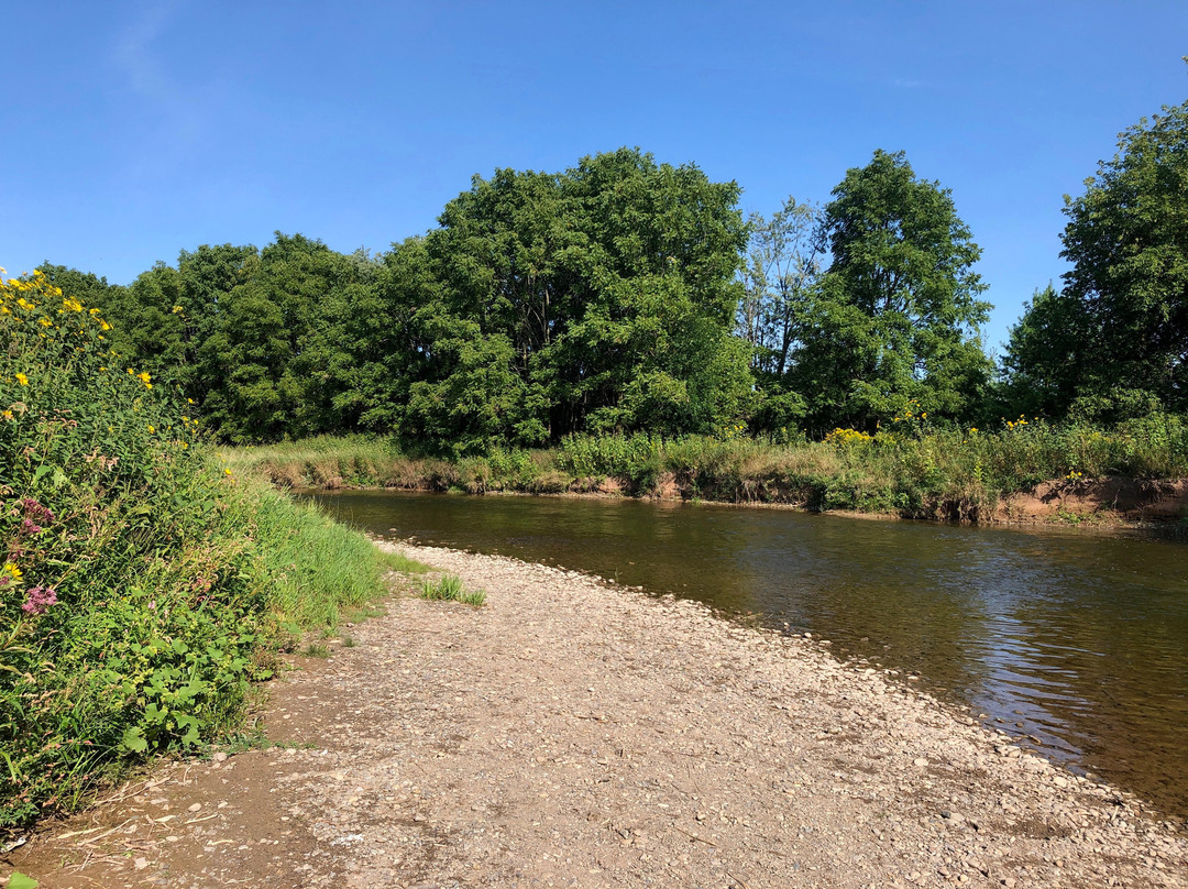 Meadowvale Conservation Area-米西索加必去景点