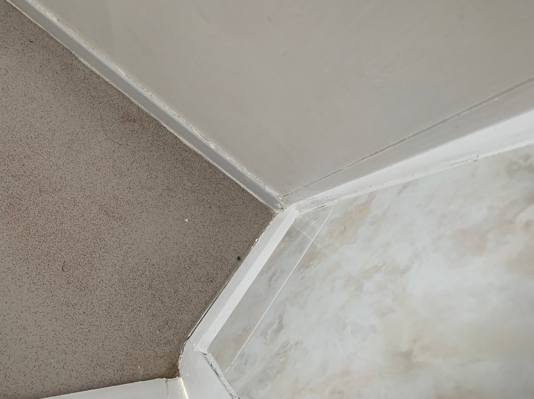 Sunnymeade Country House主图