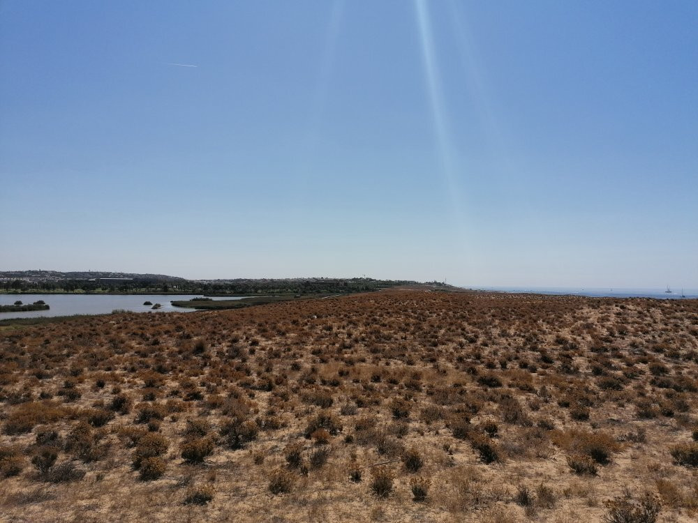 Lagoa dos Salgados景点图片