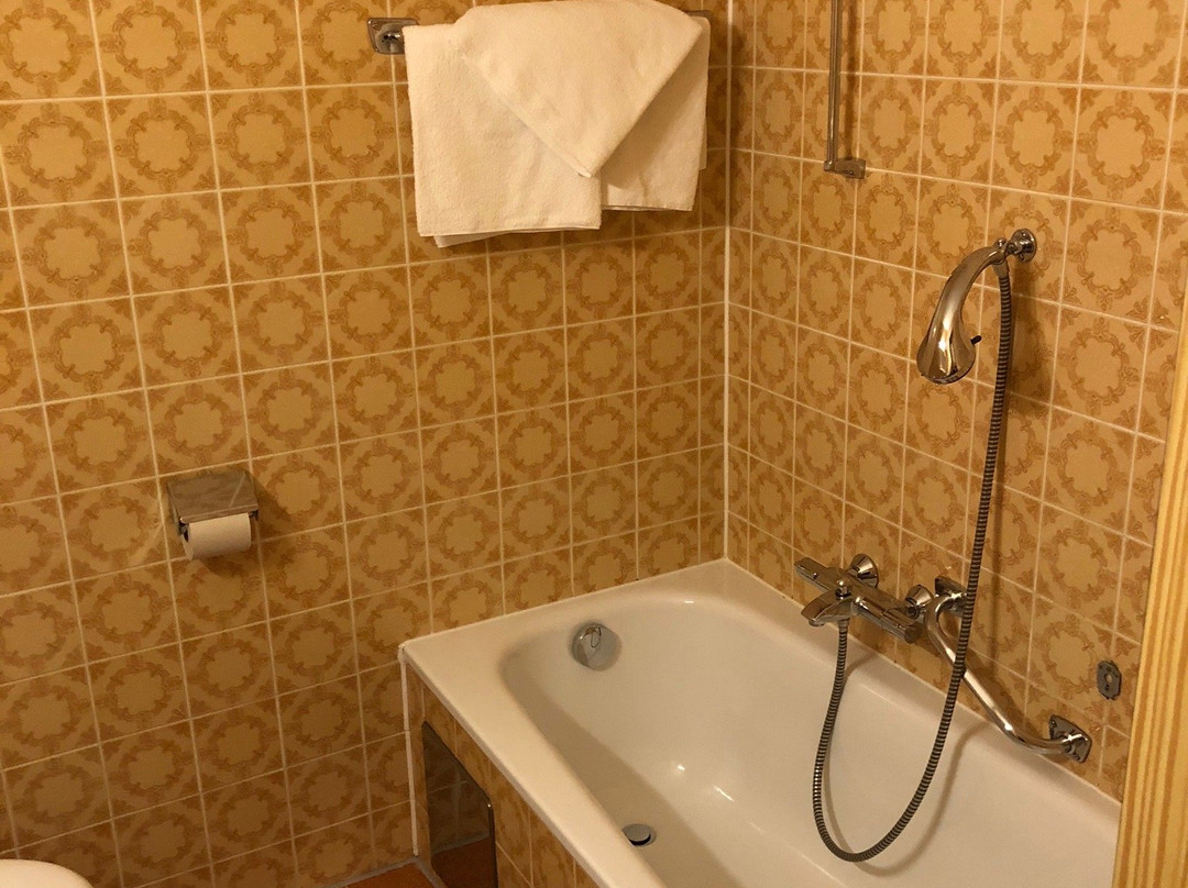 Hotel Alpina-Regina主图