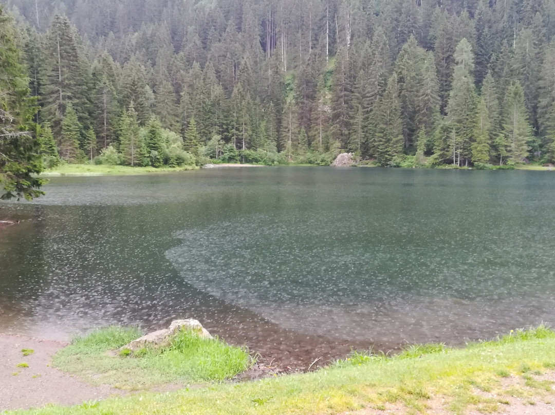 Grand Hotel Rabbi主图