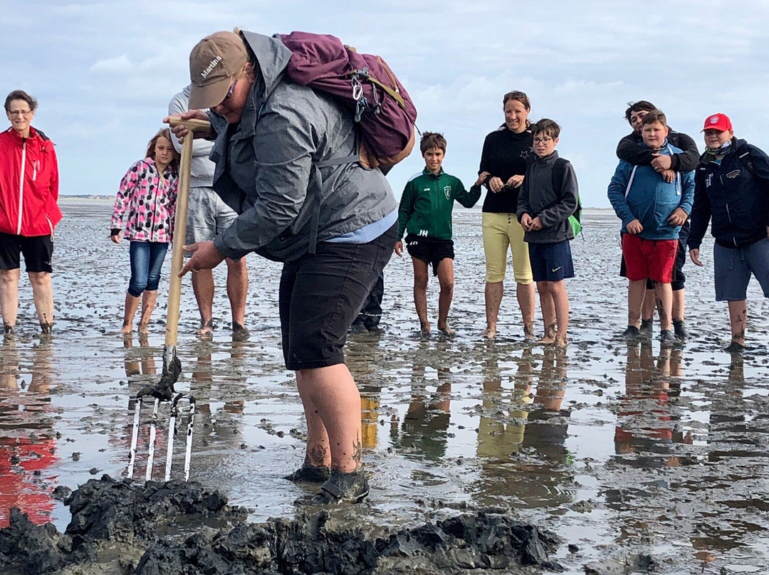 Riekens - Wir sind Watt-Dornum必去景点