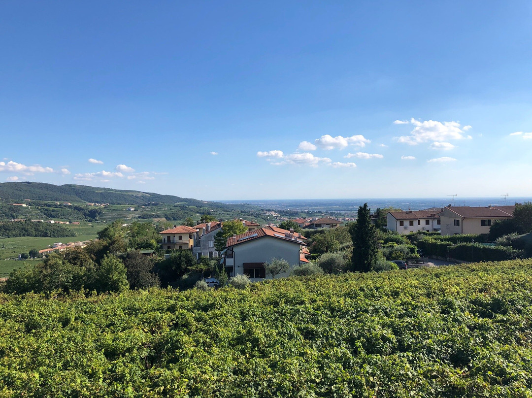 Recchia Vini景点图片