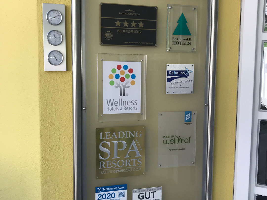Angerhof Sport- & Wellnesshotel im Bayerischen Wald主图