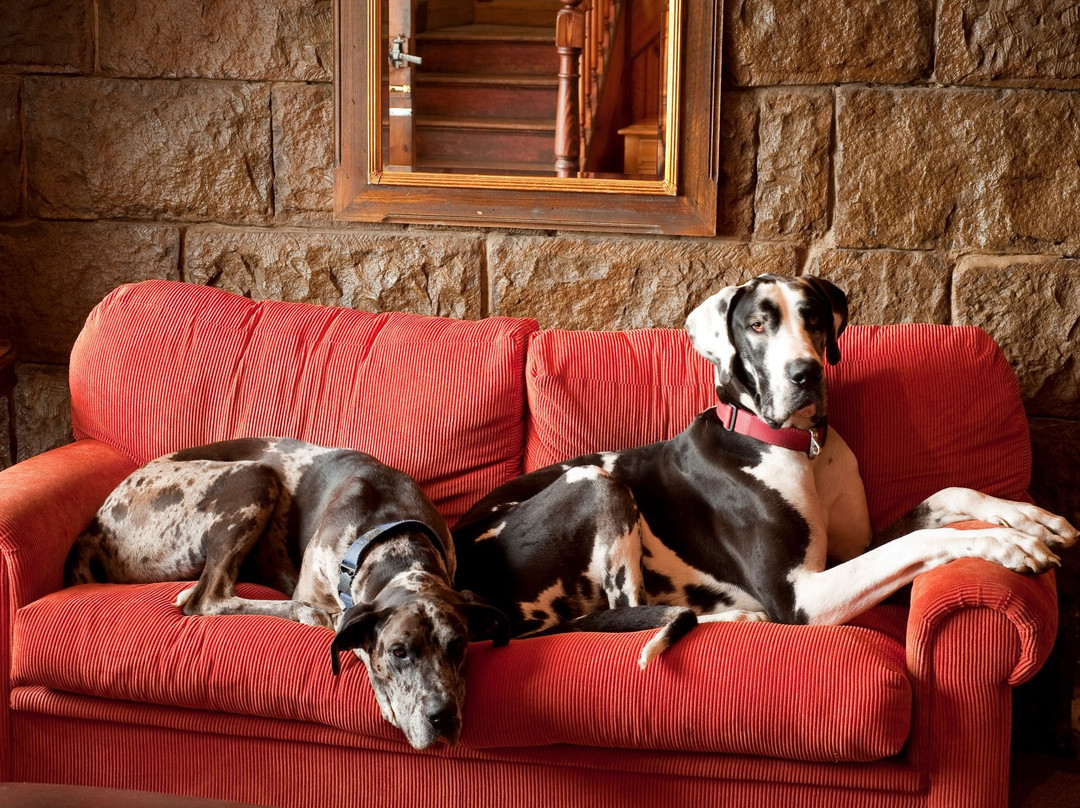 Oaklands Farm Stay主图