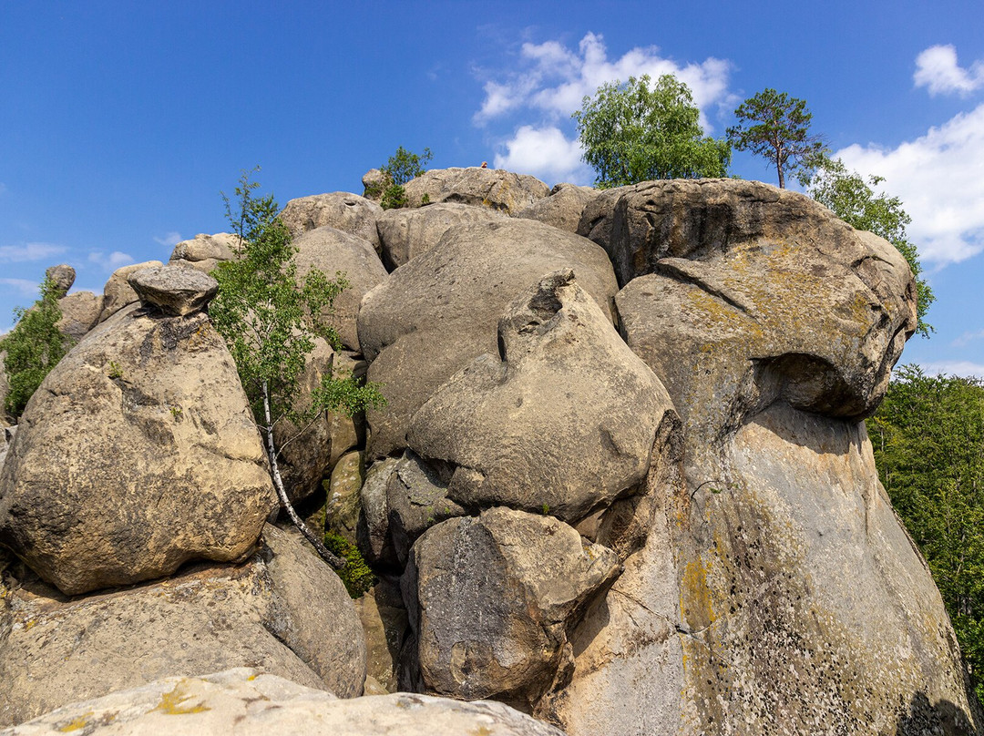 Dovbush Rocks景点图片