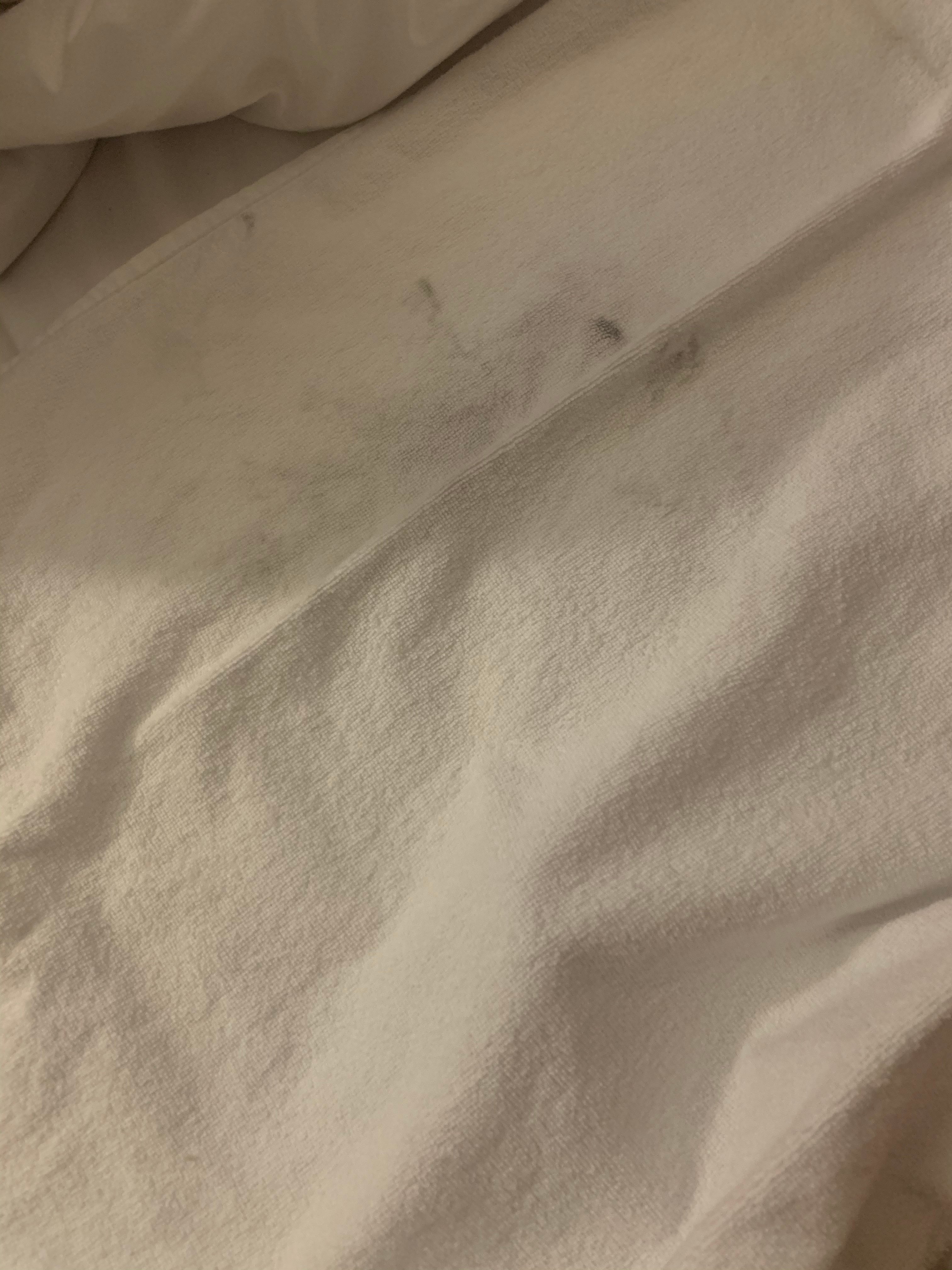 B&B HOTEL Avignon 2-官方