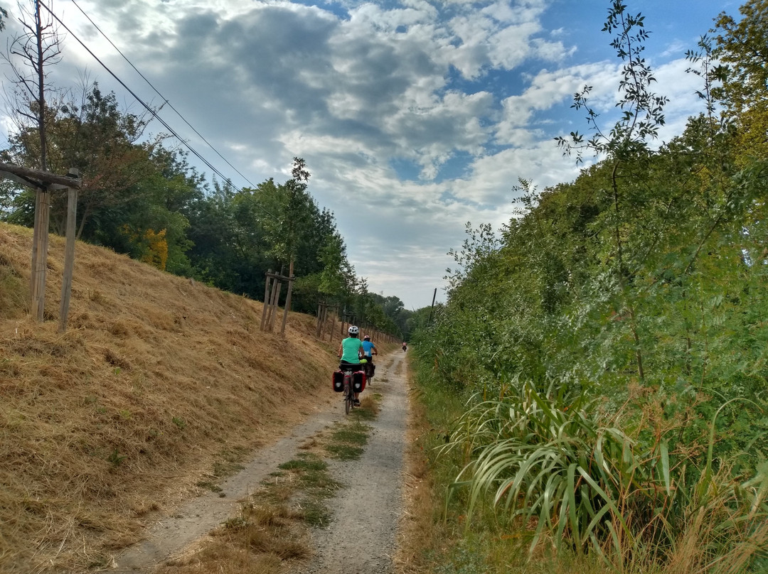 Le Canal à Vélo-图卢兹必去景点