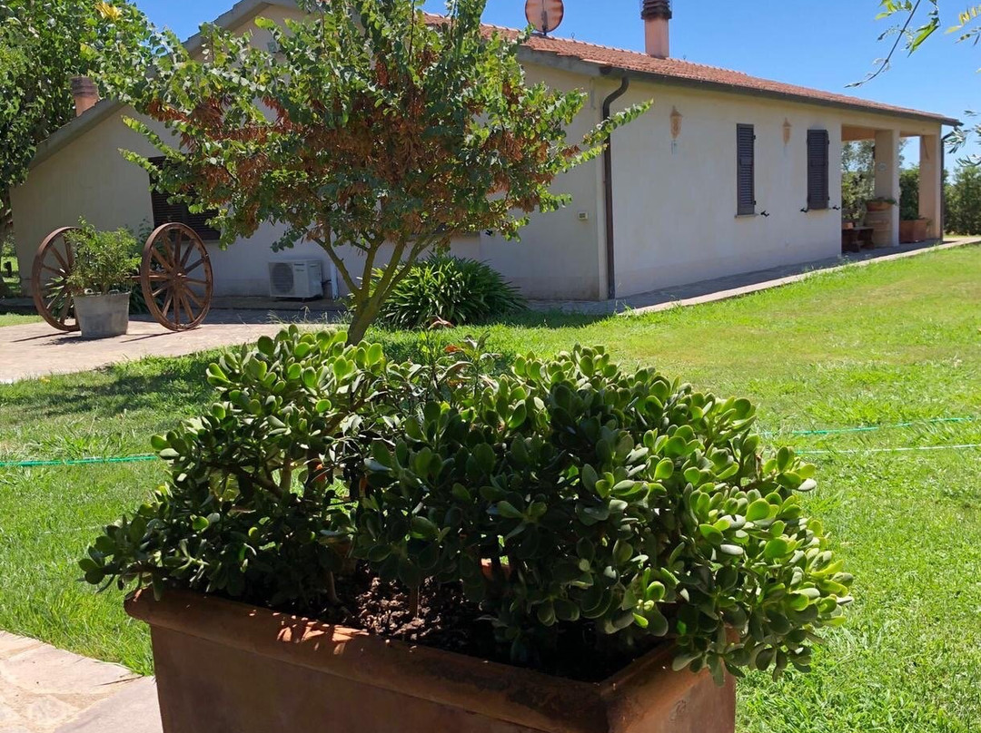 Agriturismo Podere 571主图