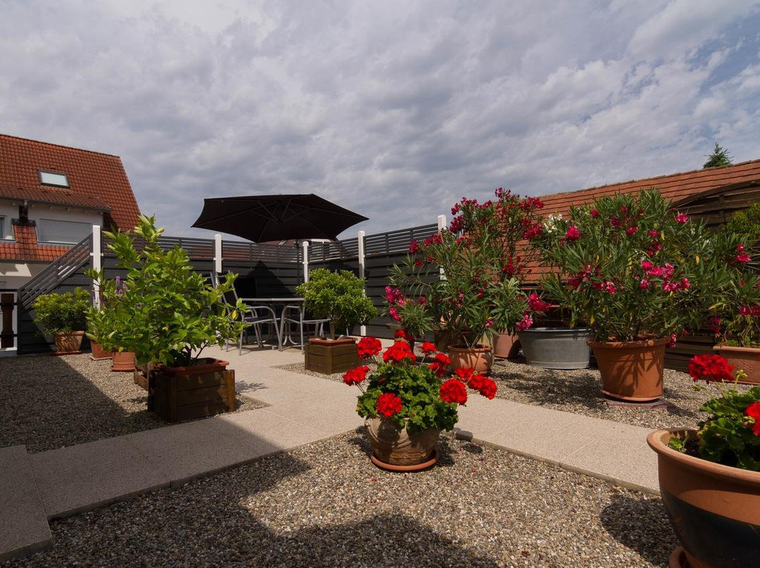 Hotel Restaurant Tuniberg主图