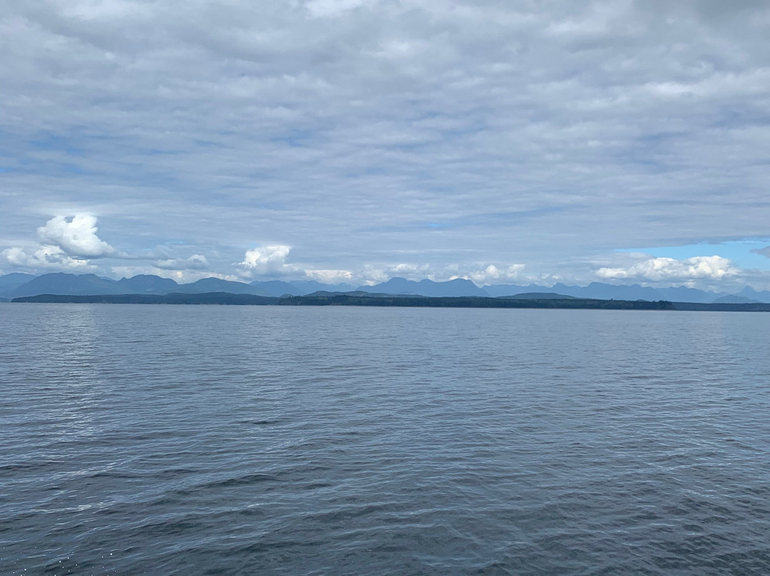 Island Life Expeditions-坎贝尔里弗必去景点