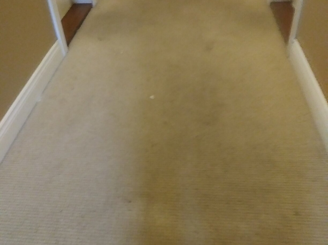 绿洲岛养生SPA酒店主图