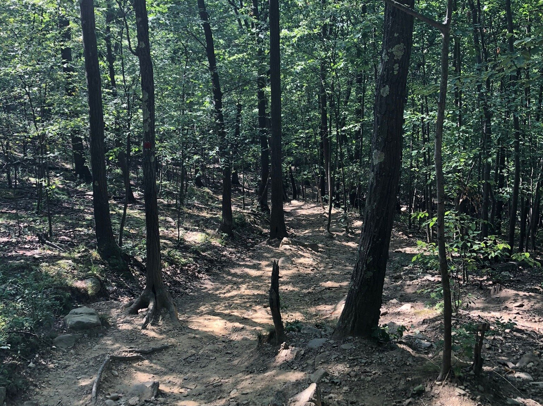 Breakneck Ridge Loop景点图片