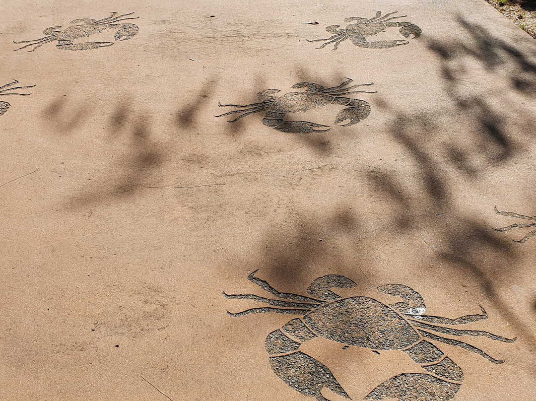 Cardwell Park Rest Area-卡德威尔必去景点