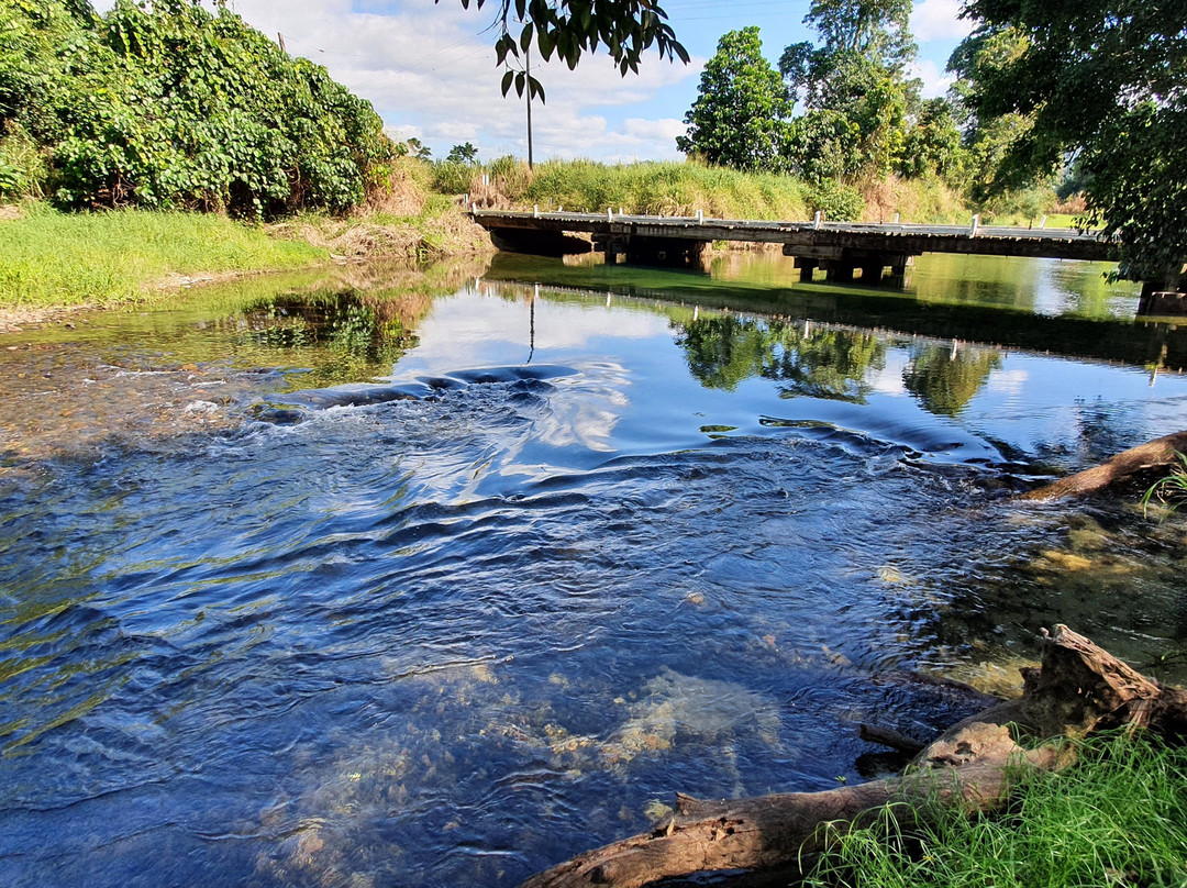 Liverpool Creek Swim Hole-米娜溪必去景点