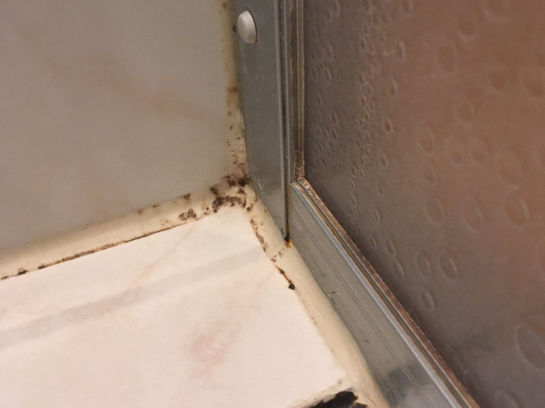 Van der Valk Hotel主图