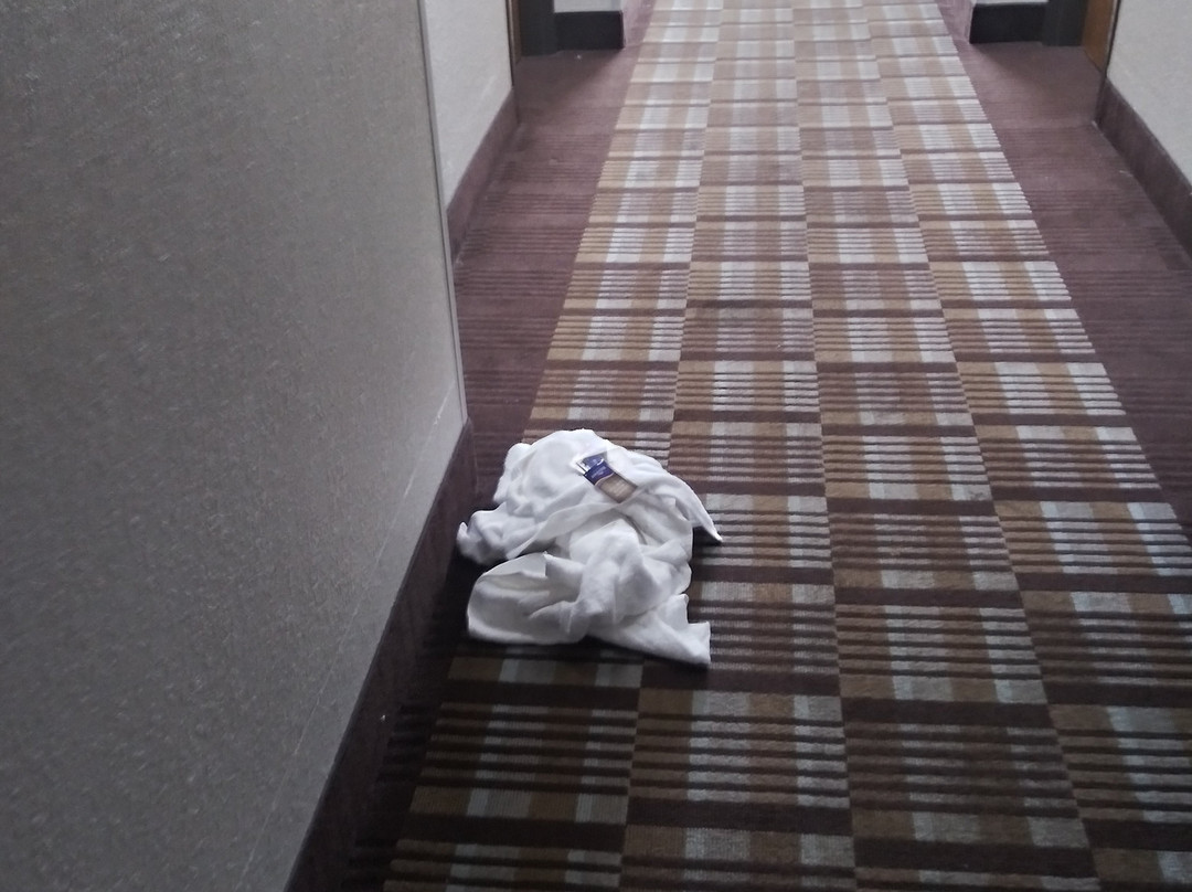 Baymont by Wyndham Columbus/Rickenbacker主图