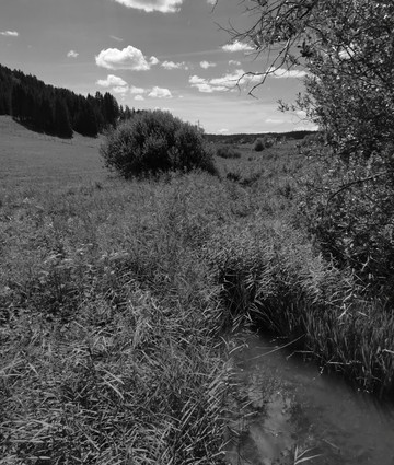 La tourbiére de Prénovel-Prenovel必去景点