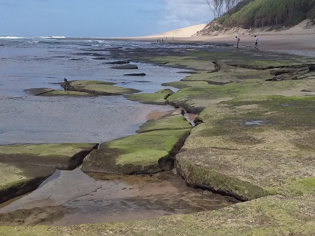 Sodwana Bay-索德瓦纳必去景点