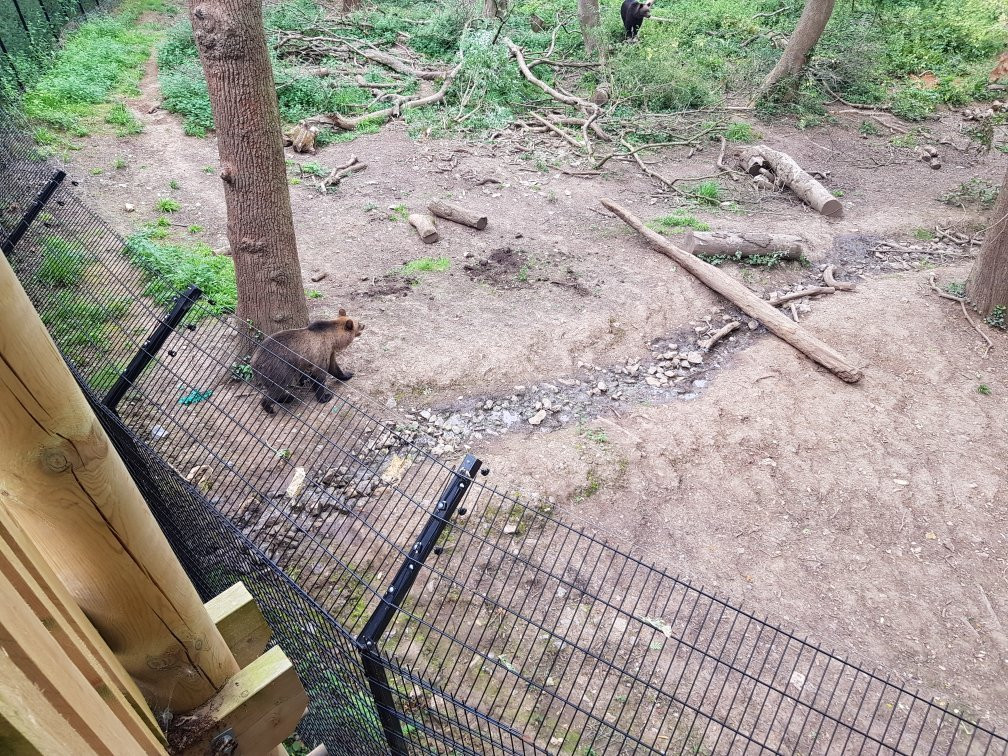 Bristol Zoo Project景点图片