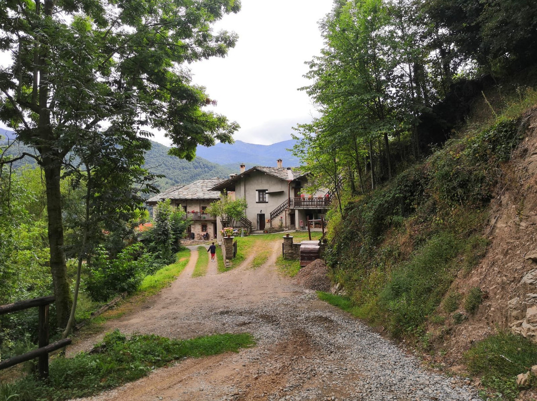 La Baita Nel Bosco