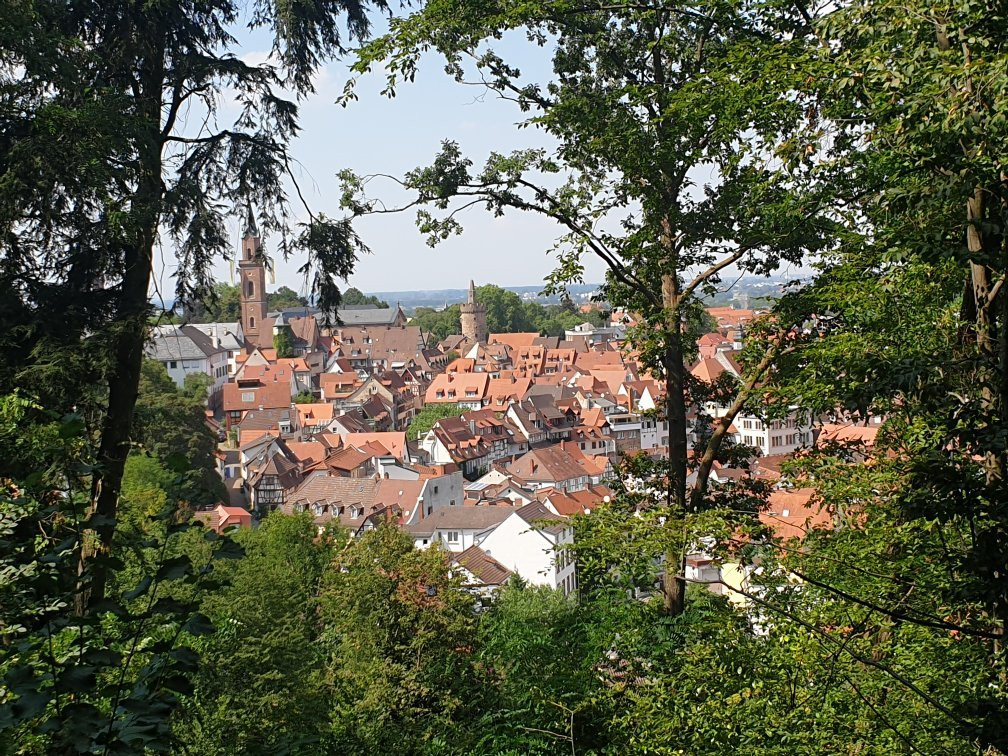 Exotenwald Weinheim-魏因海姆必去景点