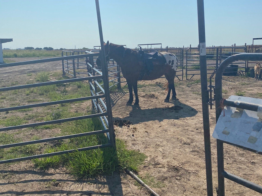 Tri-Star Farm-Hutto必去景点