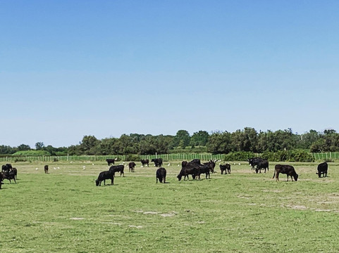 Mas Saint-Germain主图