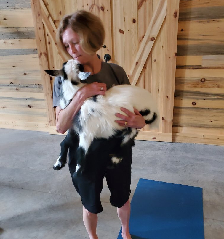 Galena Goat Yoga-加利纳必去景点