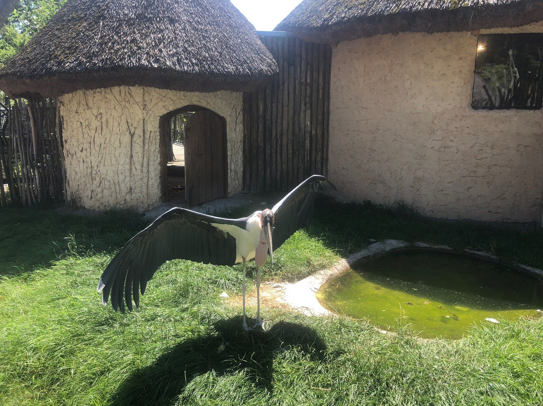 ZOO Hluboká nad Vltavou景点图片