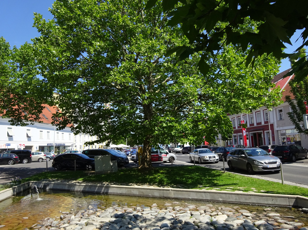 Zentrum Feldbach