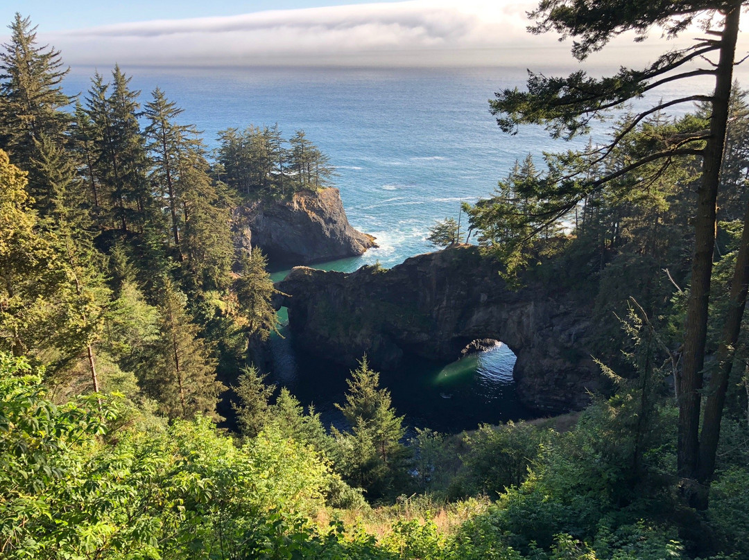 Natural Bridges Viewpoint-布鲁金斯必去景点