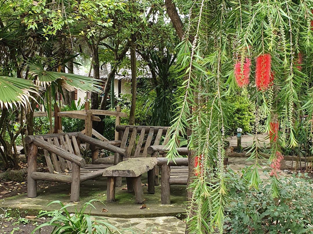 The Vijiji Center Lodge & Safari主图