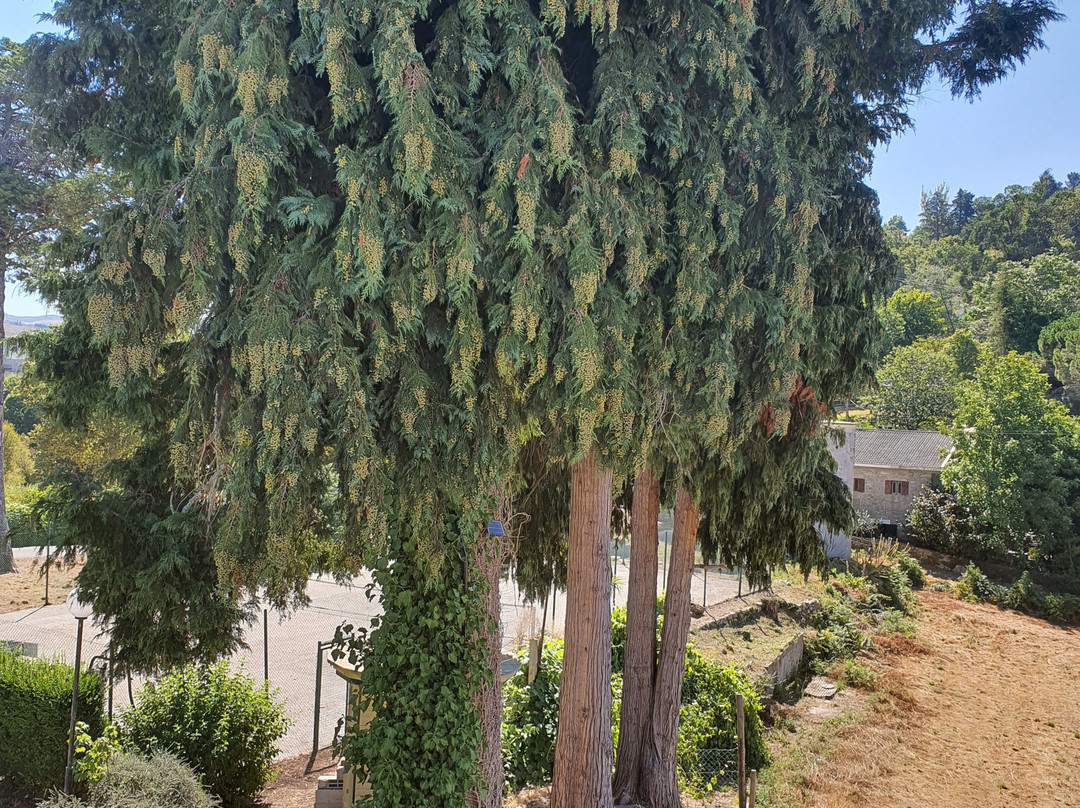 Padroes Guest House's主图