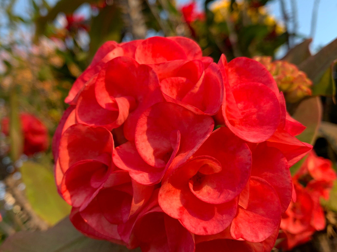 Arundel Hills Country Club