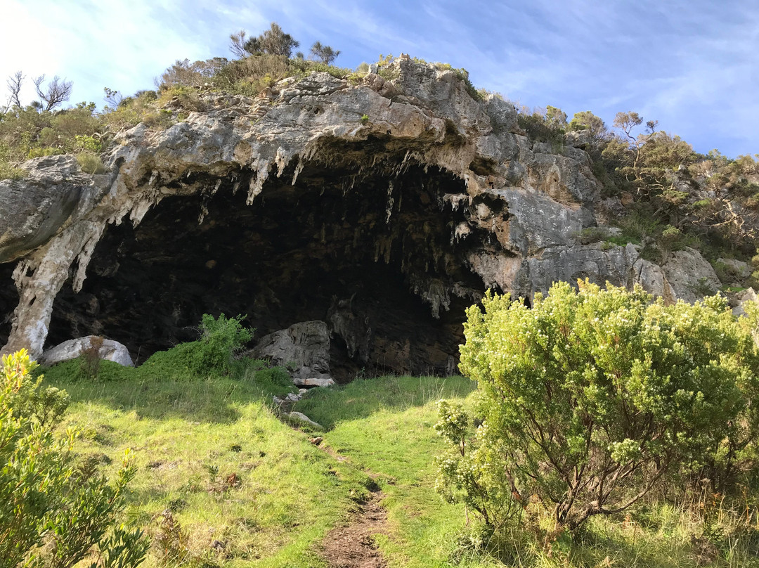 Tarragal Caves-Cape Bridgewater必去景点