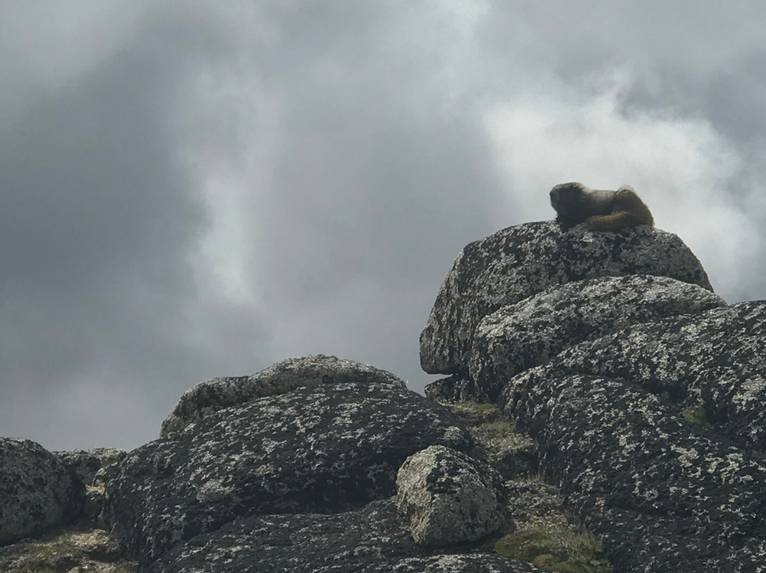 Cathedral Provincial Park-Keremeos必去景点