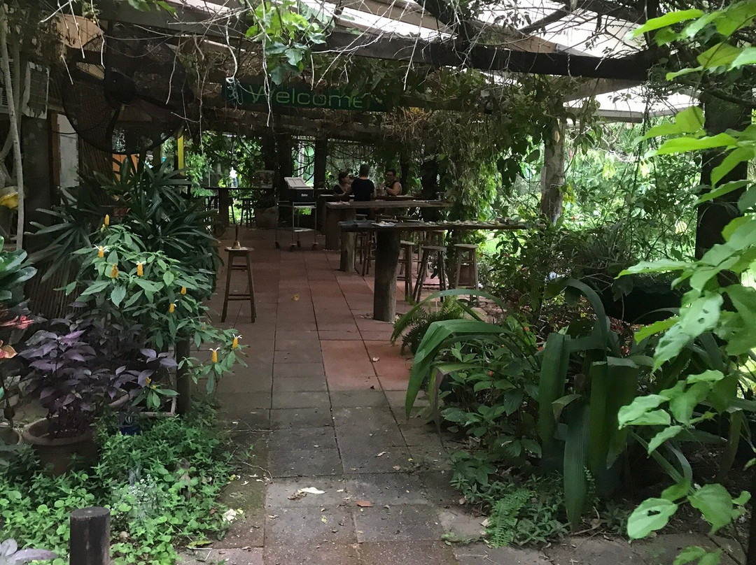 Shannonvale Tropical Fruit Winery-Mossman必去景点