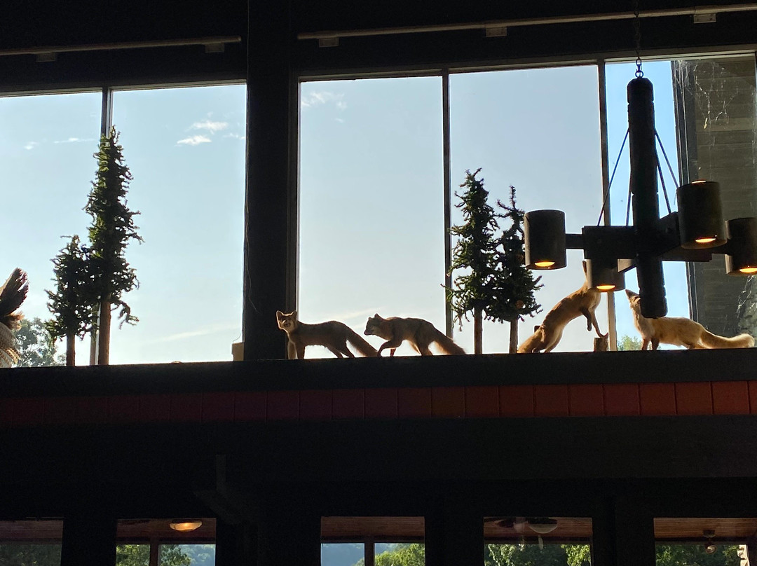 Shawnee Lodge and Conference Center主图