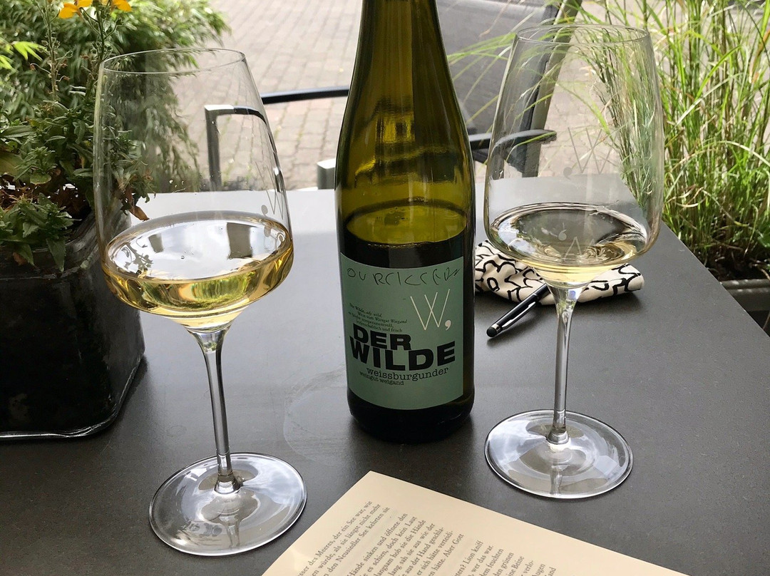 Weingut Gastehaus Weigand主图