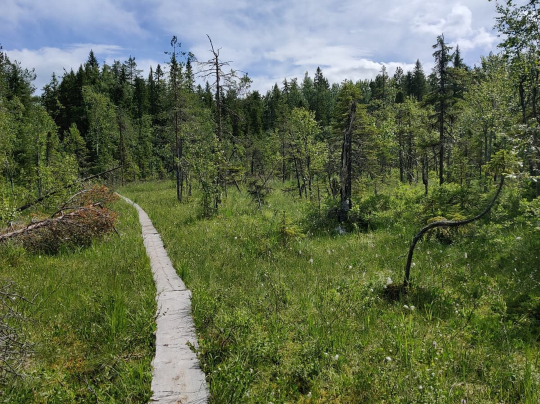 Herajarvi Hiking Trail景点图片