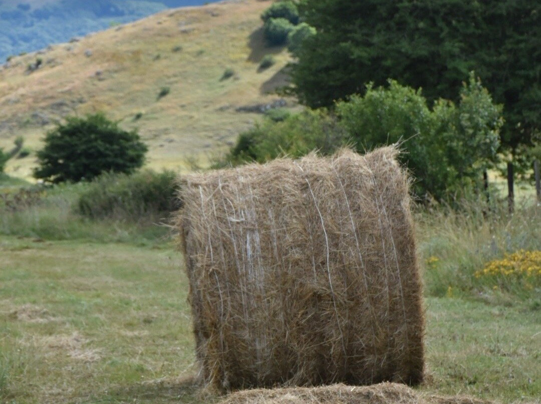 Altopiano di Rascino-Fiamignano必去景点