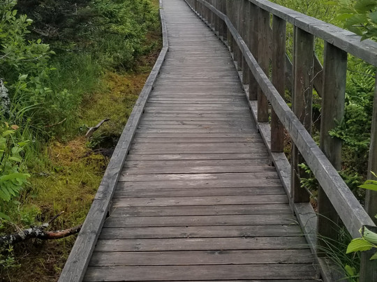 Chapel Gully Trail-Canso必去景点