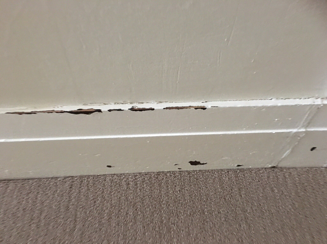 Mentor Chambers Apartment Bed & Breakfast主图