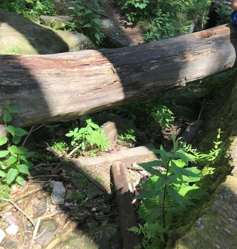 Blauenthaler Wasserfall-Eibenstock必去景点