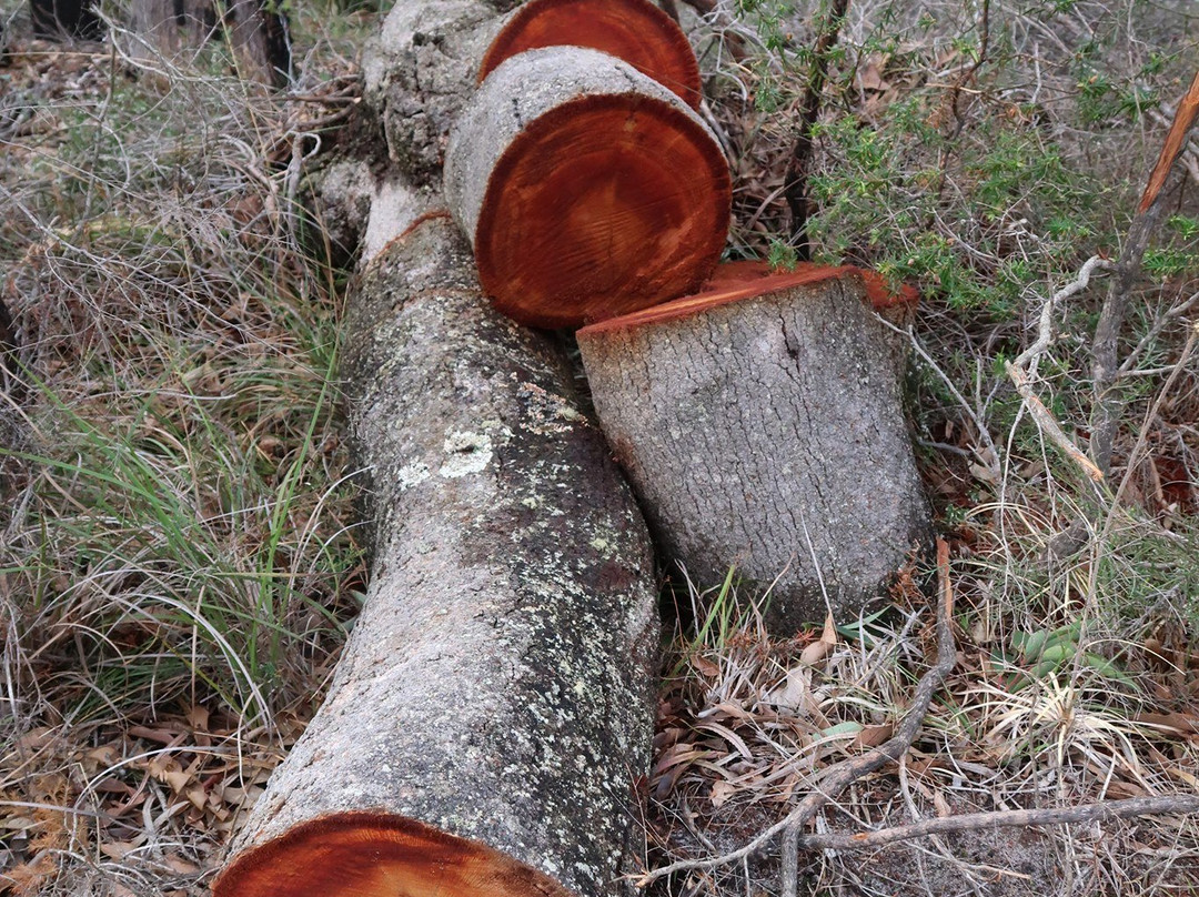 Manea Park-班伯利必去景点