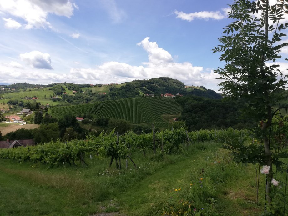 Weingut Reiterer