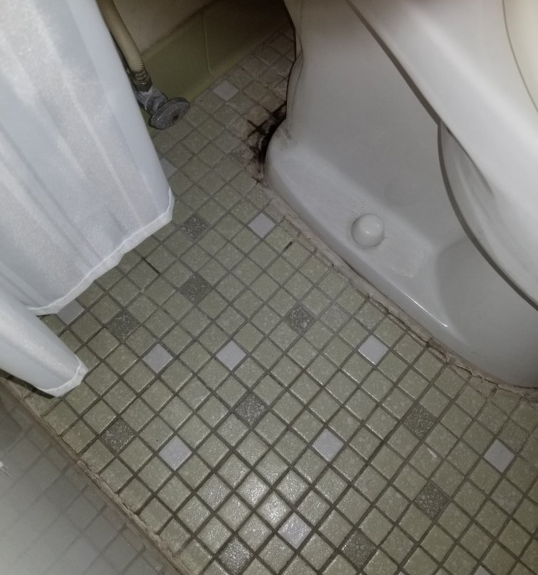 Daniel Boone Motor Inn主图