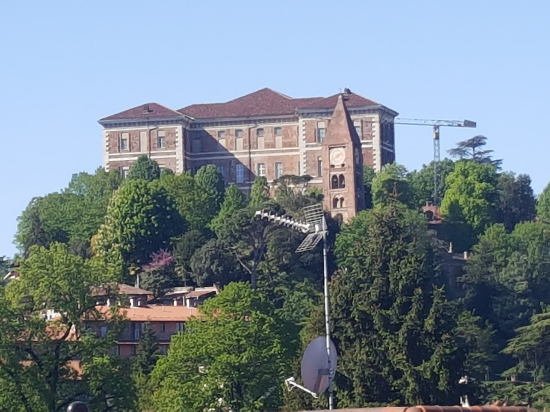 Castello di Rivoli Museum of Contemporary Art景点图片