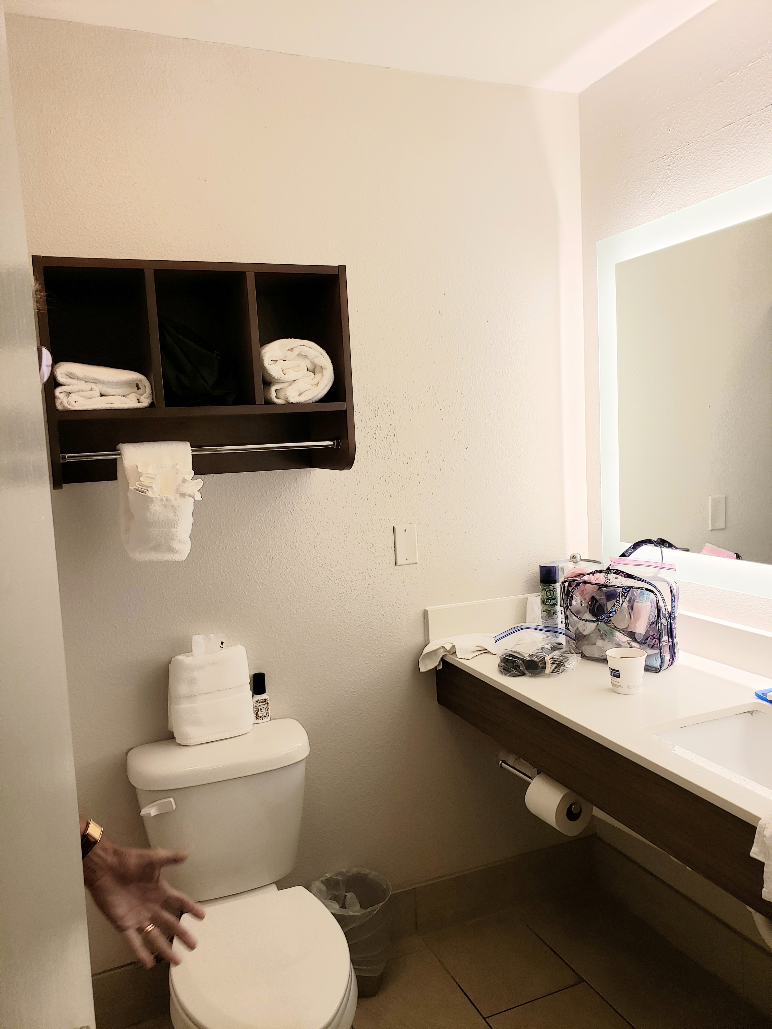 Holiday Inn Express & Suites Scottsburg, an IHG hotel-浴室